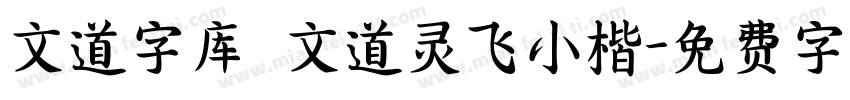 文道字库 文道灵飞小楷字体转换